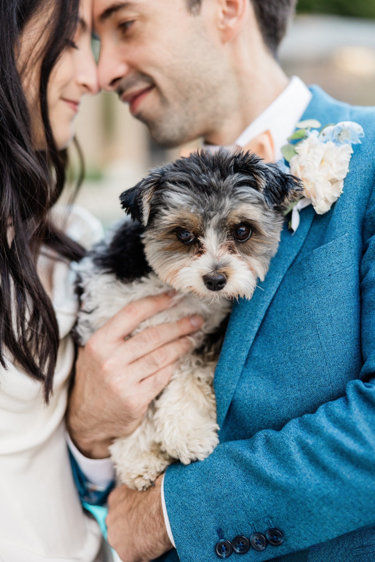 Photo wedding couple with their dog