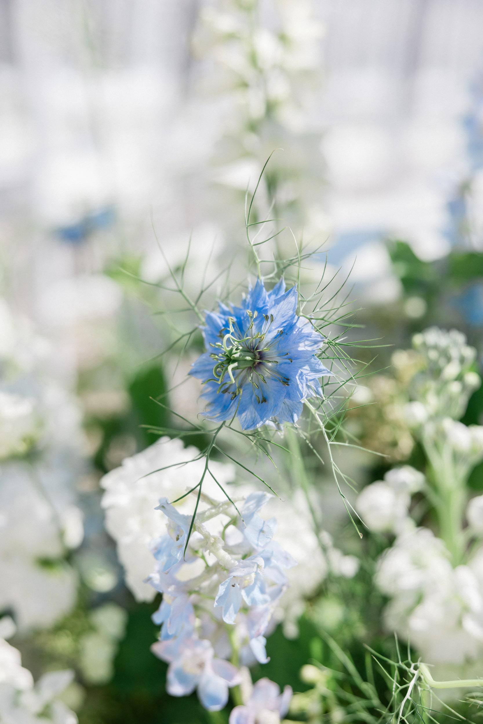 Close-up of the blue and sage wedding flowers at Château de Nainville-les-Roches
